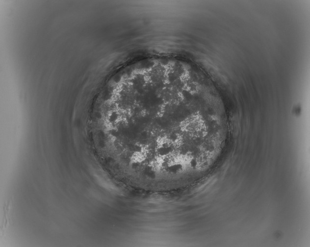 X0000090991009200708161912