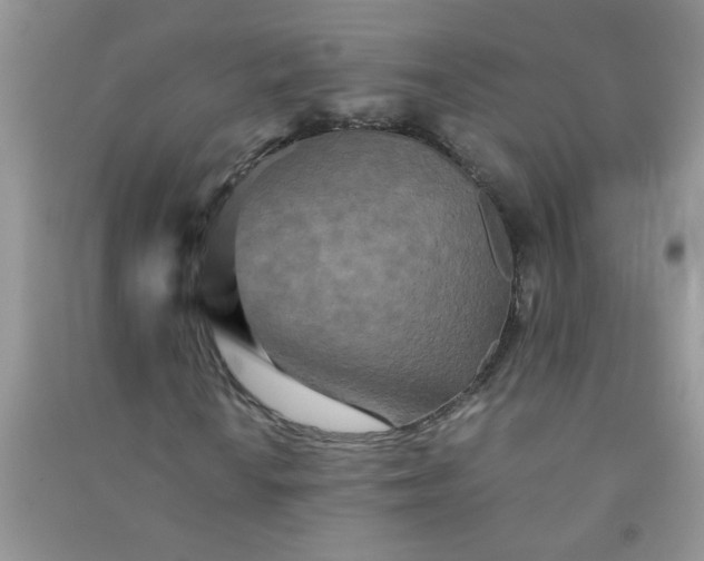 X0000090991010200708161912