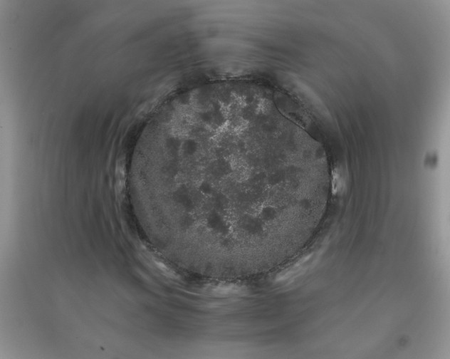 X0000090991011200708161912