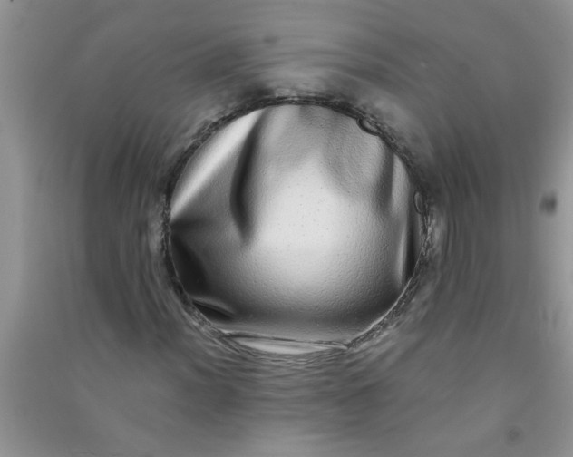 X0000090991012200708161912