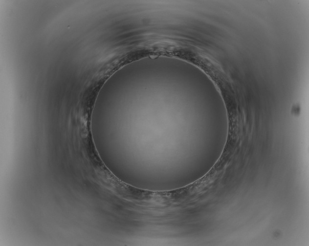 X0000090991013200708161912