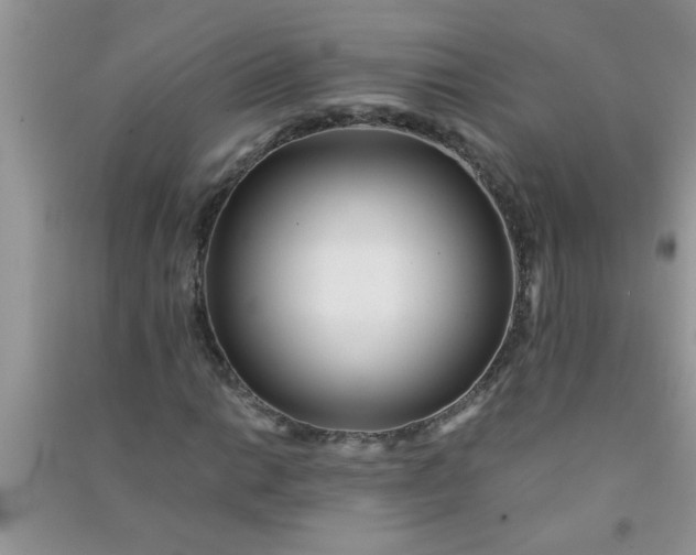 X0000090991014200708161912