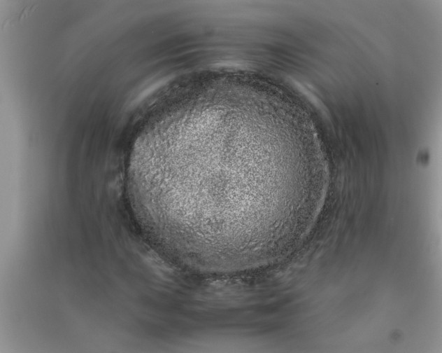 X0000090991015200708161912