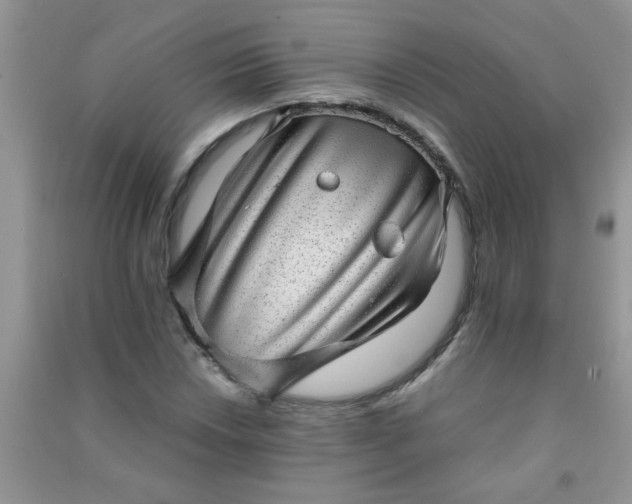 X0000090991018200708161912