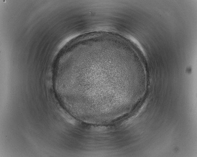 X0000090991019200708161912