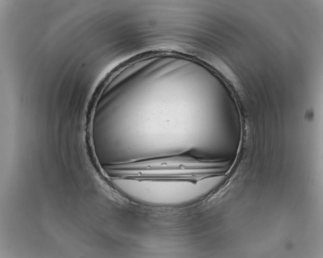 X0000090991020200708161912