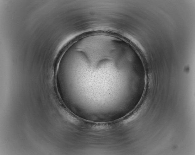 X0000090991021200708161912