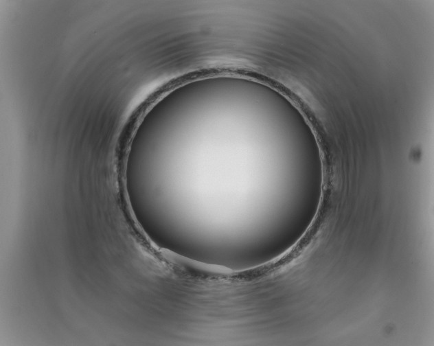 X0000090991022200708161912