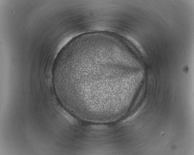 X0000090991023200708161912