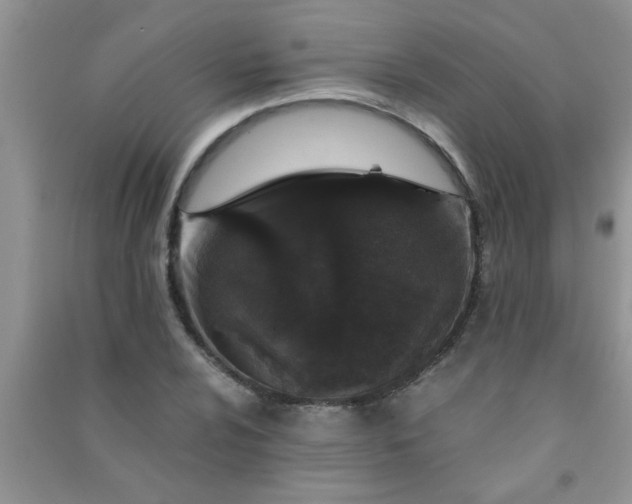 X0000090991024200708161912