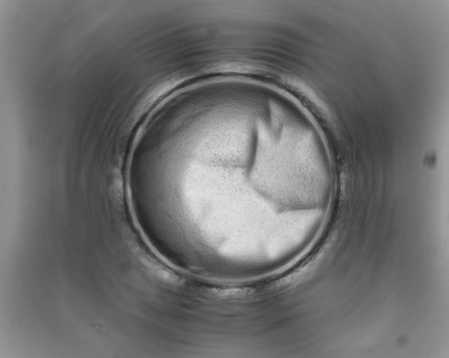 X0000090991025200708161912