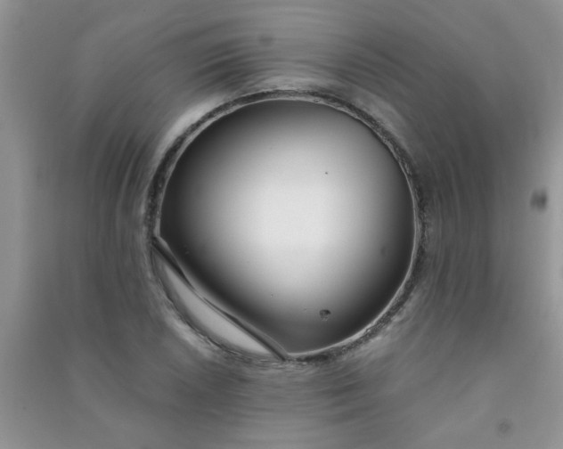 X0000090991026200708161912