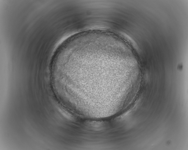 X0000090991027200708161912