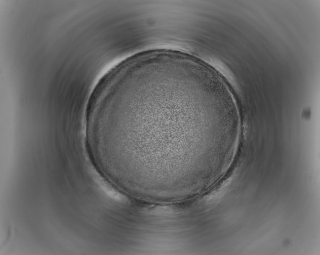 X0000090991028200708161912