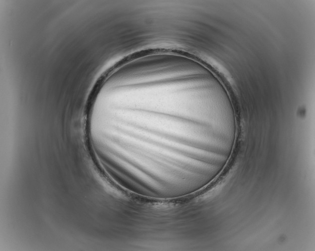 X0000090991029200708161912