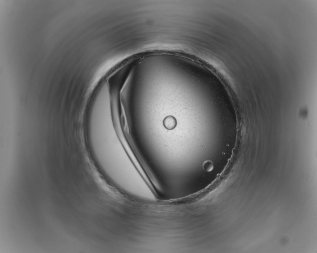 X0000090991030200708161912