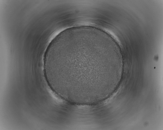 X0000090991031200708161912