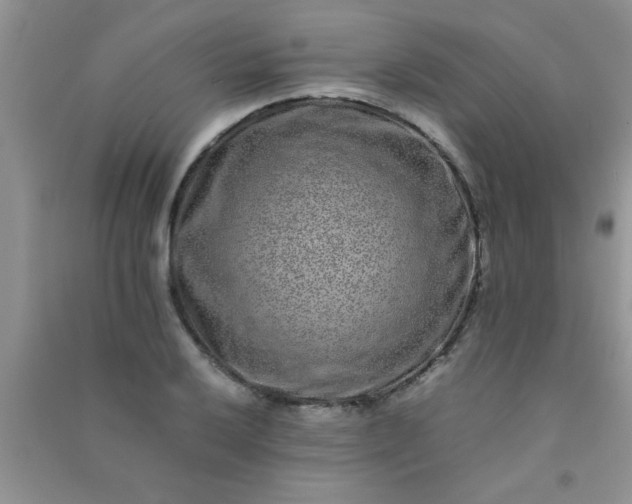 X0000090991032200708161912