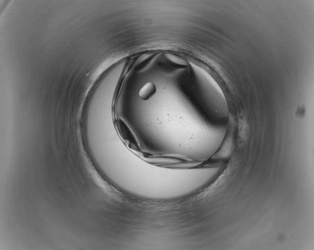 X0000090991034200708161912