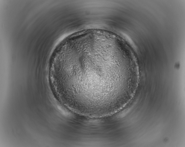 X0000090991035200708161912