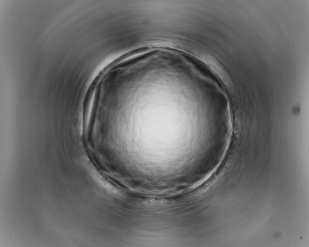 X0000090991036200708161912