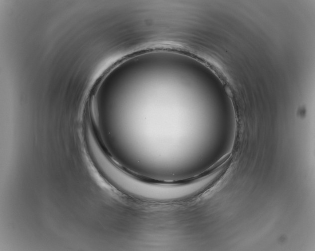 X0000090991038200708161912
