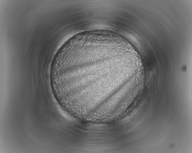 X0000090991039200708161912