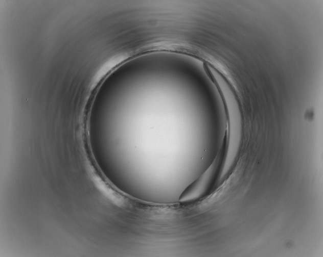 X0000090991042200708161912
