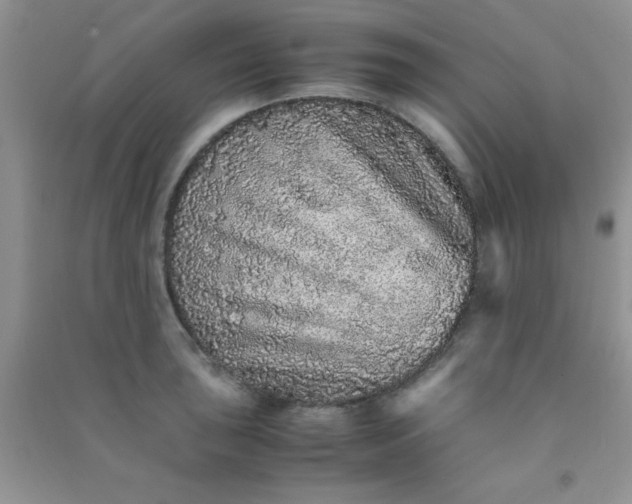 X0000090991043200708161912