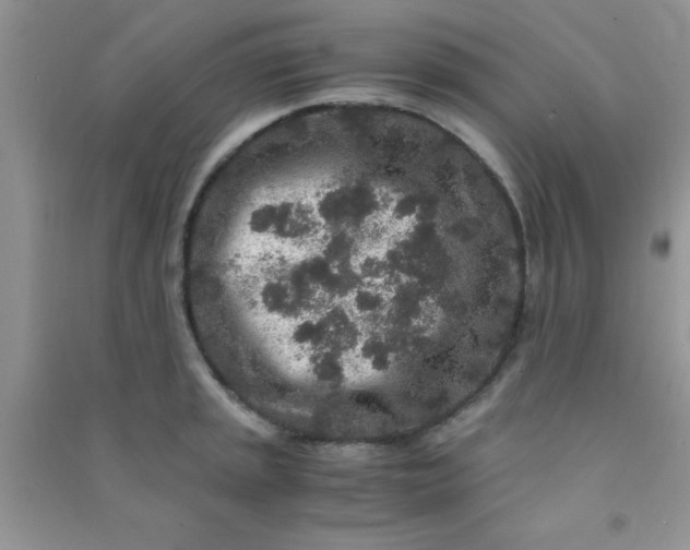 X0000090991045200708161912