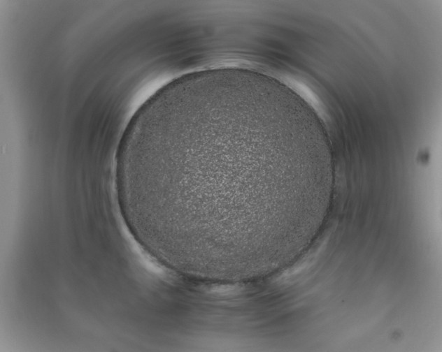 X0000090991047200708161913