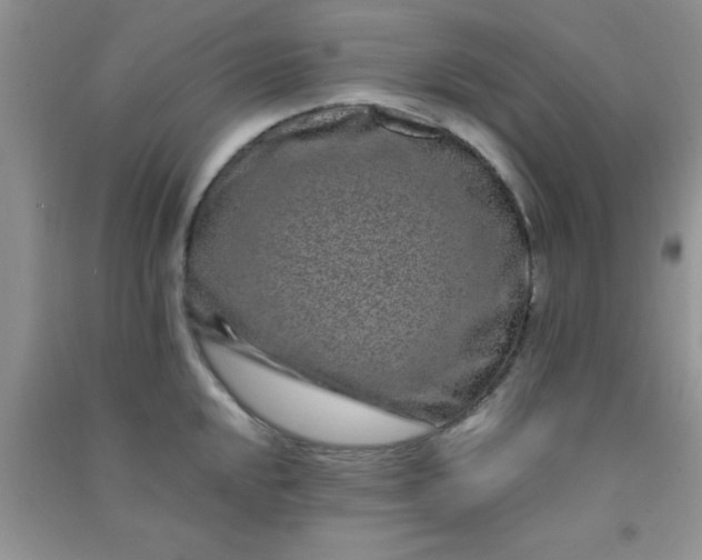 X0000090991048200708161913