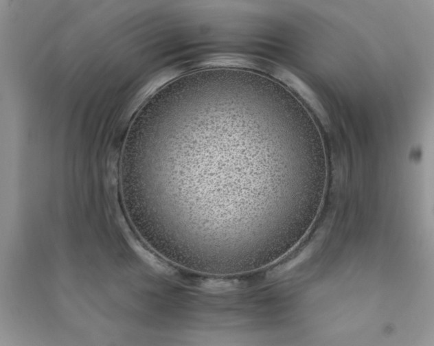 X0000090991049200708161913
