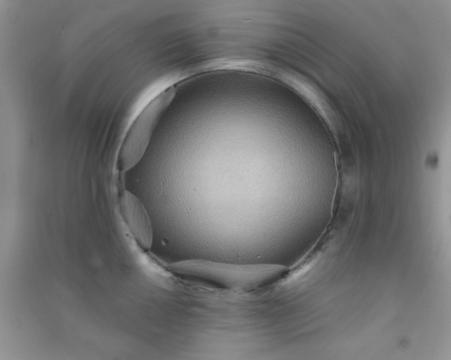 X0000090991050200708161913