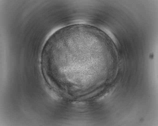 X0000090991051200708161913