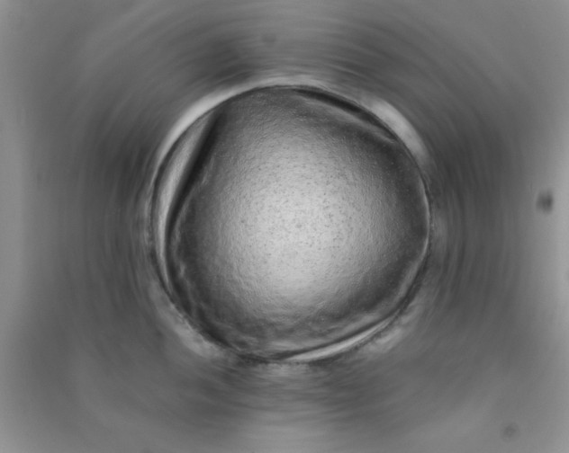 X0000090991052200708161913
