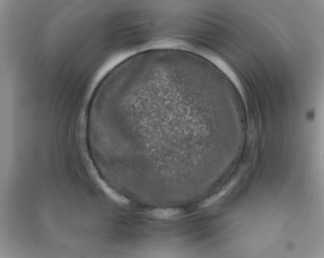 X0000090991053200708161913