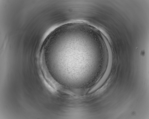 X0000090991054200708161913