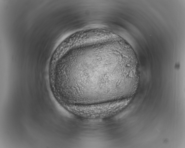 X0000090991055200708161913