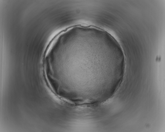 X0000090991056200708161913