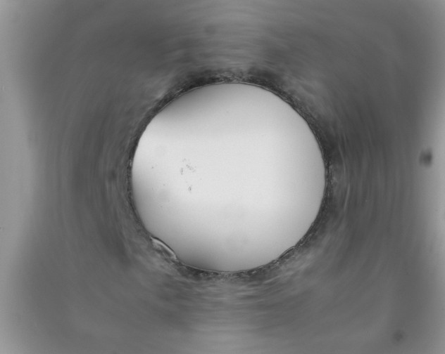 X0000090991057200708161912