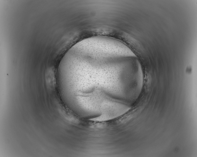X0000090991058200708161912