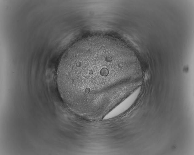 X0000090991059200708161912