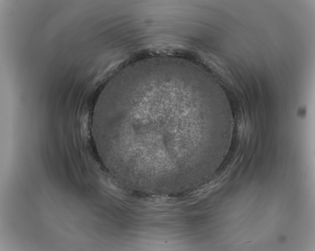 X0000090991060200708161912