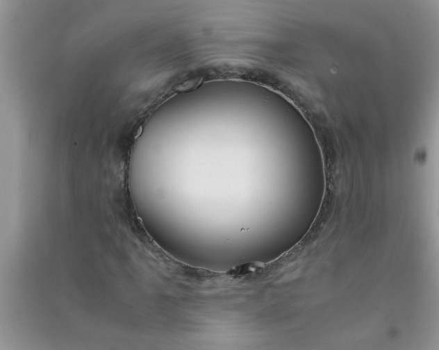X0000090991061200708161912