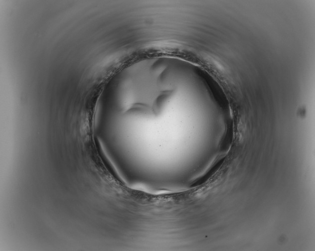 X0000090991062200708161912