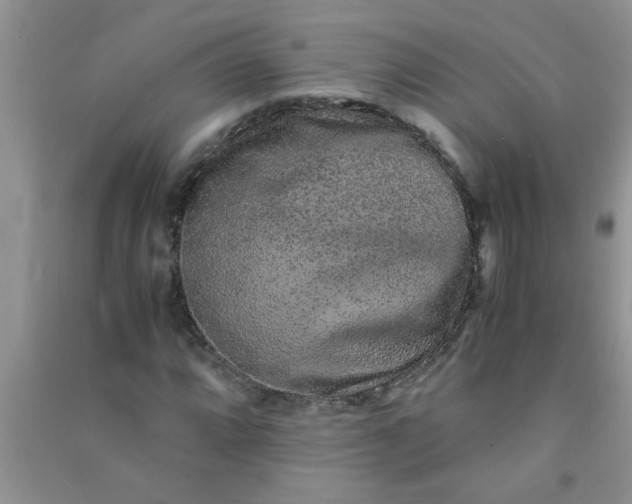 X0000090991064200708161912