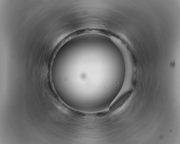 X0000090991065200708161912