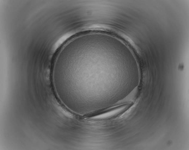 X0000090991066200708161912
