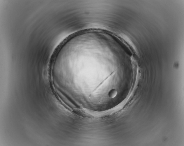 X0000090991068200708161912